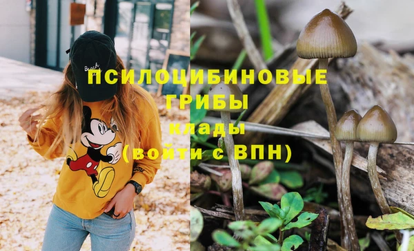 крисы Верхний Тагил